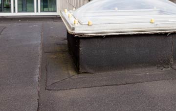 disadvantages of Puddledock flat roofs