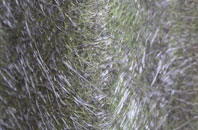 Puddledock fibreglass roof work