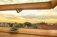 rated Puddledock roof window companies